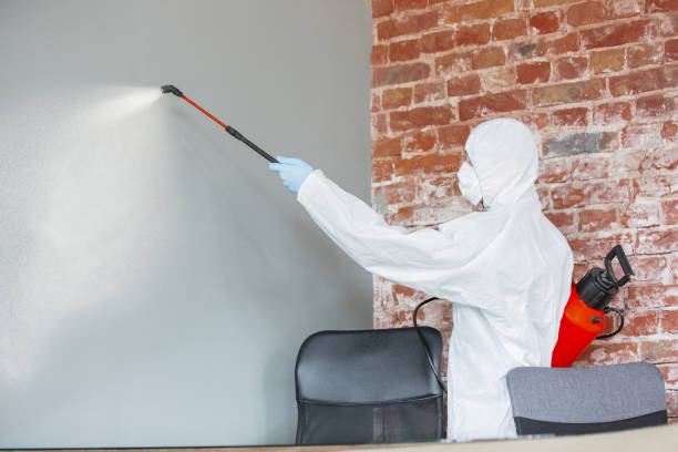 Best Mold Remediation for Healthcare Facilities  in Noroton, CT