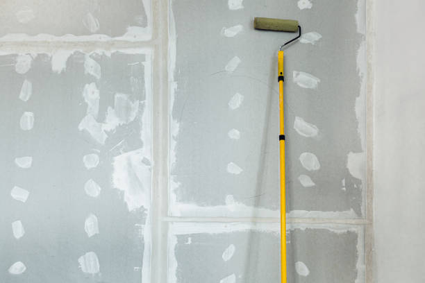 Best Comprehensive Air Testing for Mold Contaminants  in Noroton, CT