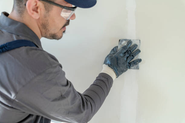 Best Black Mold Removal  in Noroton, CT