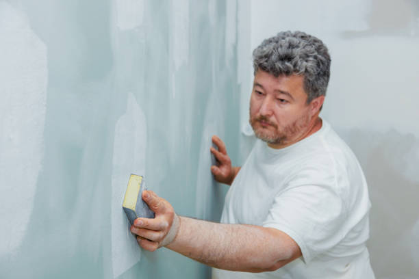 Best Environmental Consulting for Mold Prevention  in Noroton, CT